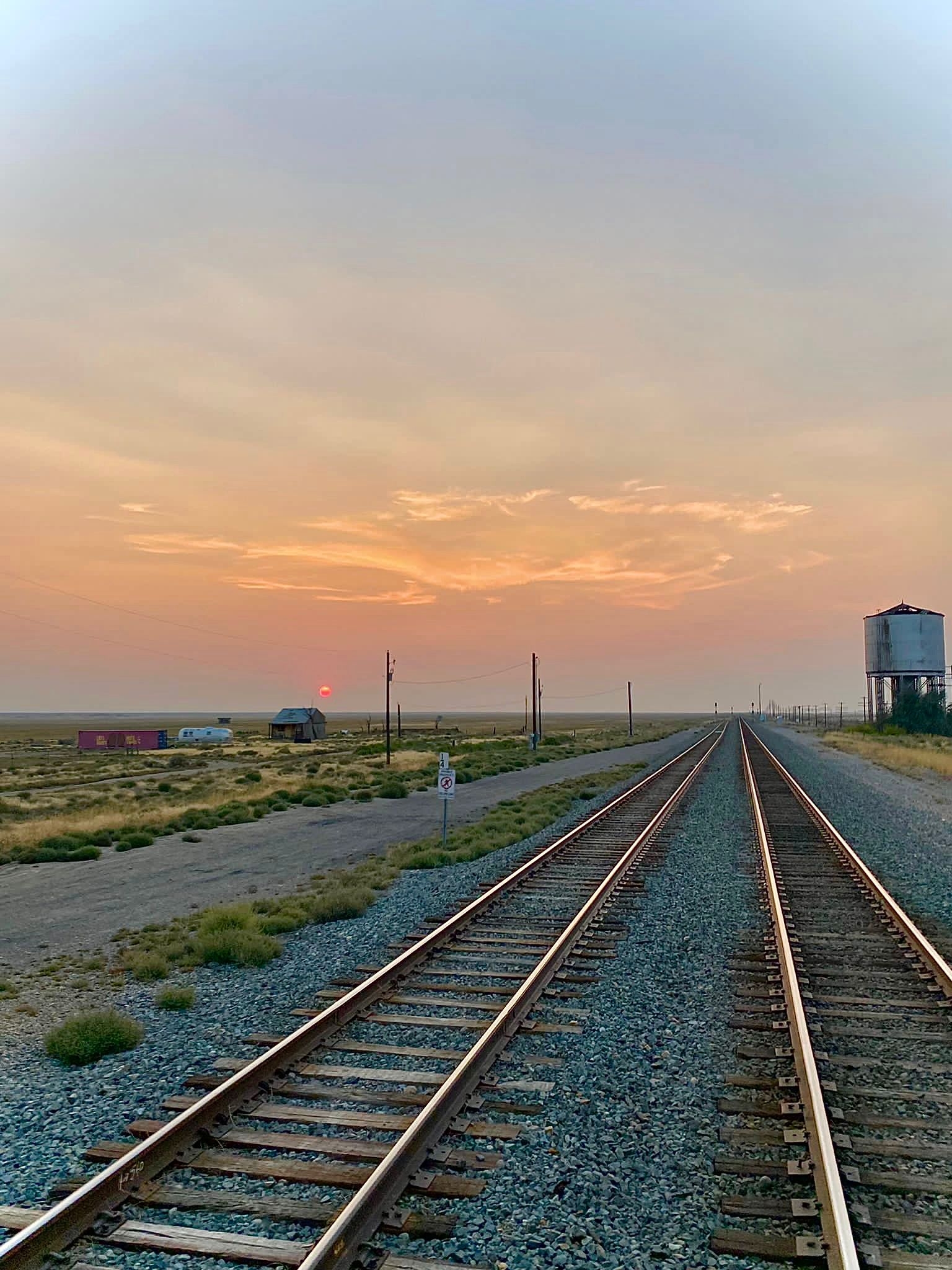 froggieのプロフィールページ - moomooコミュニティ